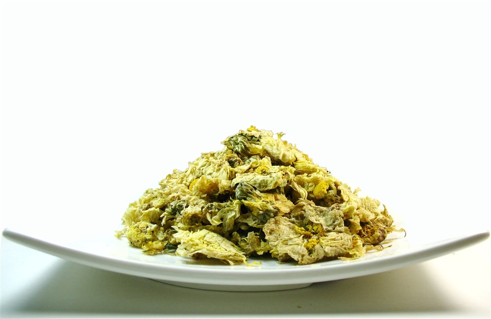 Chrysanthemum flower